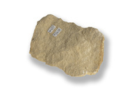 M 02638
<br/>
Kalksteen
<br/>
<em></em>